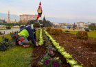 Şehir Çiçeklerle Renklendi