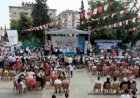 Balık Festivali Yoğun İlgiyle Gerçekleşti