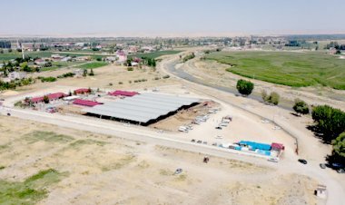 Gürbüz, “Karantina sonrası hayvan borsası 2 gün açık olacak”