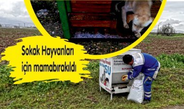 Sokaktaki Canlar Unutulmadı