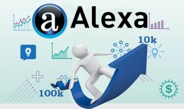 Alexa Site Sorgulama Nedir?