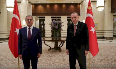 Güngör, Cumhurbaşkanı Erdoğan İle Görüştü