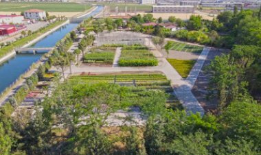 Büyükşehir’in Ürettiği Çiçekler Şehri Renklendiriyor