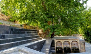 Asırlık Çınar Turizme Kazandırıldı