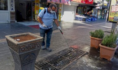 Vektörel Mücadelede Çalışmalar Sürüyor