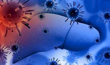 KSÜ Tıp Fakültesi 28 Temmuz Dünya Hepatit Günü Bilgilendirmesi