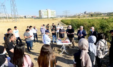 KSÜ’de Uygulamalı Nar Hasadı